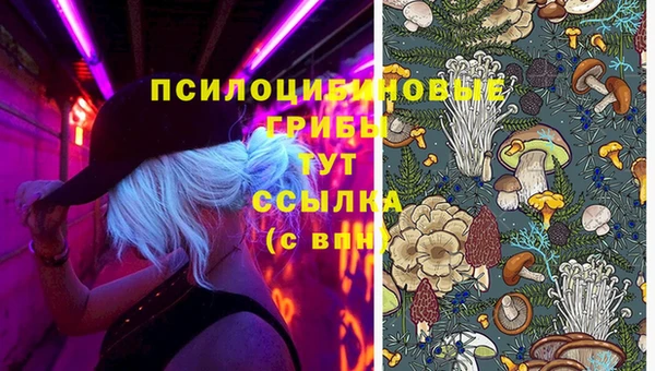 круглые Аркадак