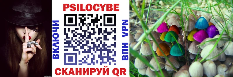 как найти   Льгов  Псилоцибиновые грибы Psilocybe 